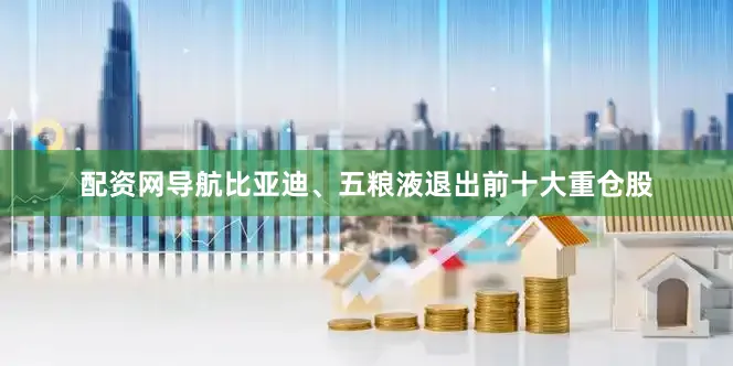 配资网导航比亚迪、五粮液退出前十大重仓股